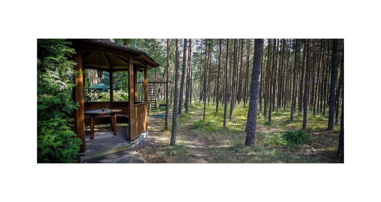 Фото  Forest Cottage Неринга 7